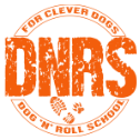 Logo DNRS - DOG 'N' ROLL SCHOOL